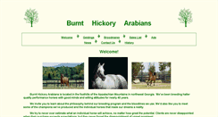 Desktop Screenshot of burnthickoryarabians.com